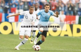 02年世界杯中国（2002年世界杯中国）